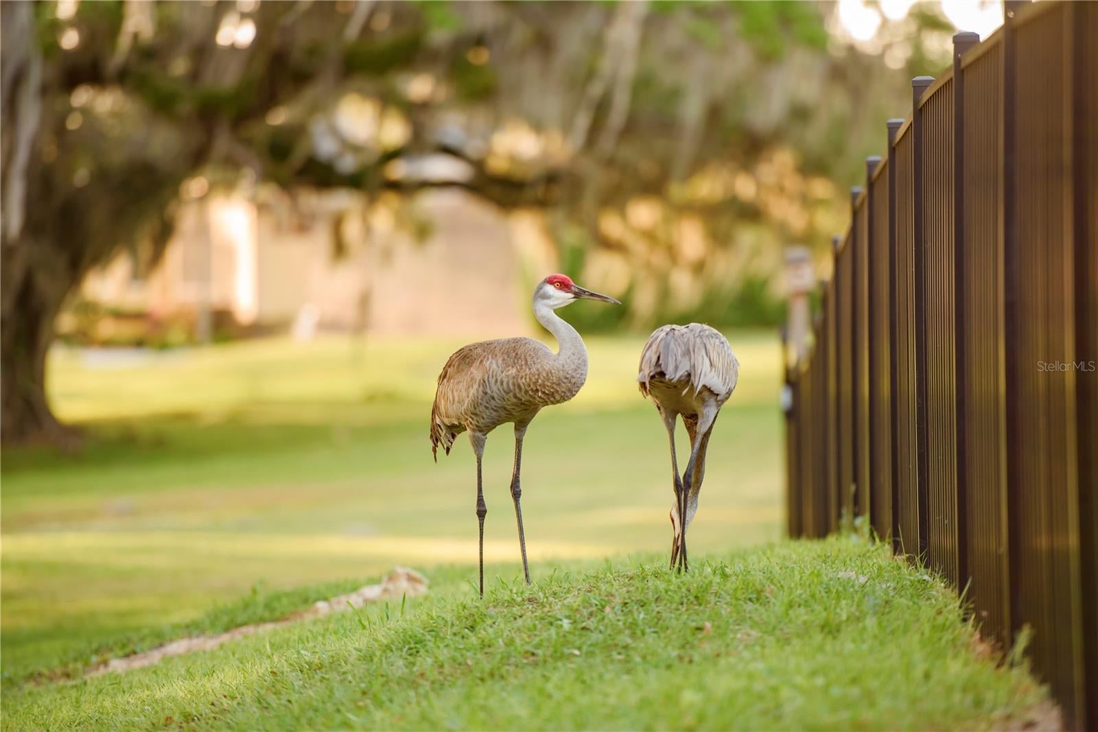 Gainesville, Florida, 32608, United States, 4 Bedrooms Bedrooms, ,3 BathroomsBathrooms,Residential,Active,1989761