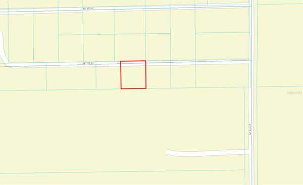 TBD NE 155TH STREET, FORT MC COY, FL 32134 - Image 1