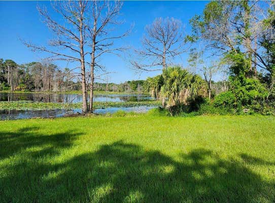 LAKE GENEVA RD, GENEVA, FL 32732 - Image 1