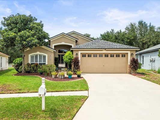 4446 HORSESHOE PICK LN, VALRICO, FL 33594 - Image 1