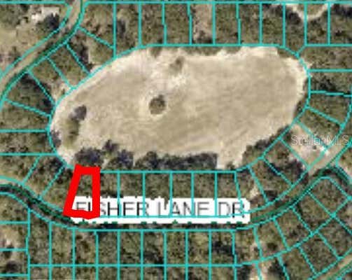 FISHER LANE DR #LOT #26, OCKLAWAHA, FL 32179 - Image 1