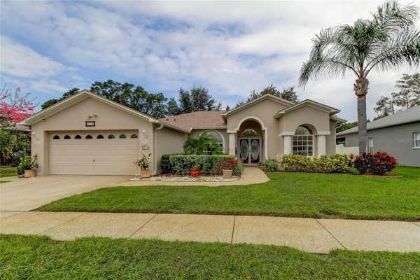 8115 BAYTREE DR, NEW PORT RICHEY, FL 34653 - Image 1