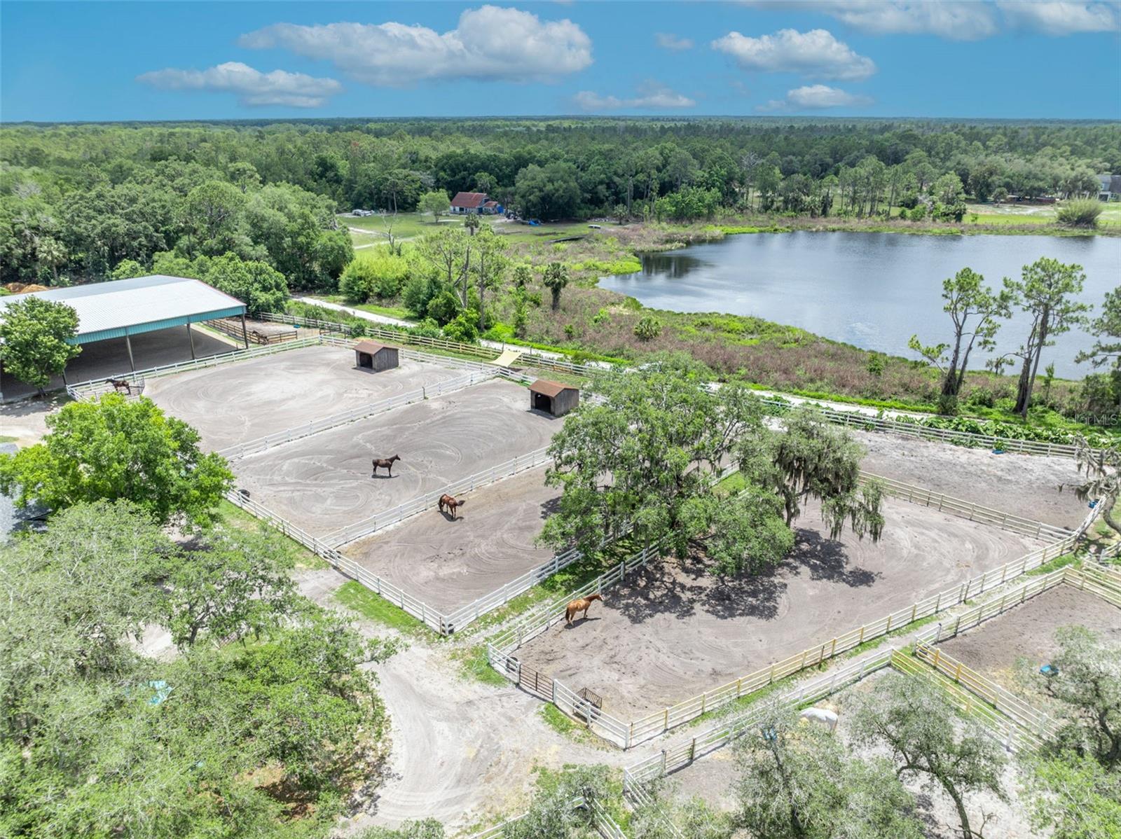 Geneva, Florida, 32732, United States, 5 Bedrooms Bedrooms, ,4 BathroomsBathrooms,Residential,Active,2044197