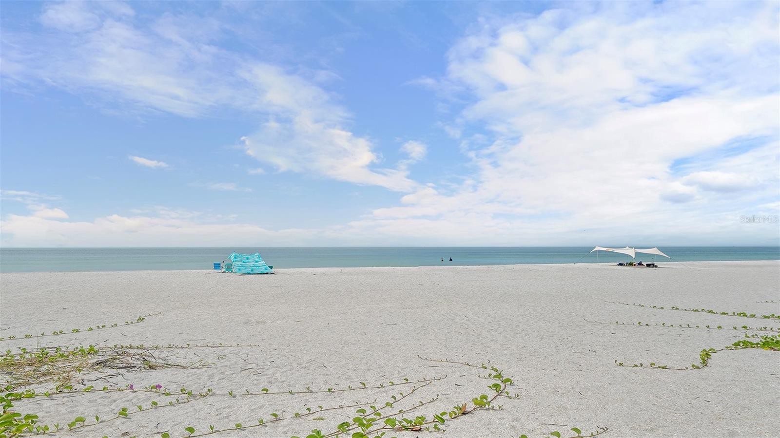 Holmes Beach, Florida, 34217, United States, 1 Bedroom Bedrooms, ,1 BathroomBathrooms,Residential,Active,1971768