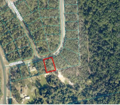 00 SEQUOIA TRAIL, OCKLAWAHA, FL 32179 - Image 1