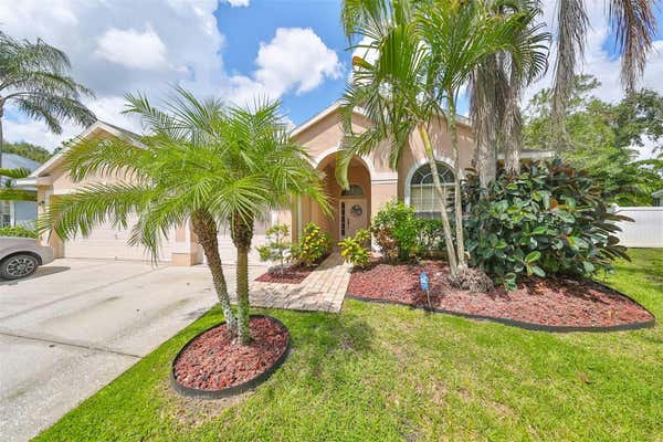 12031 MOUNTBATTEN DR, TAMPA, FL 33626 - Image 1