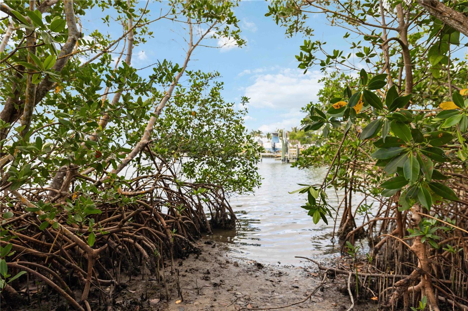 Nokomis, Florida, 34275, United States, 3 Bedrooms Bedrooms, ,3 BathroomsBathrooms,Residential,Active,1985591