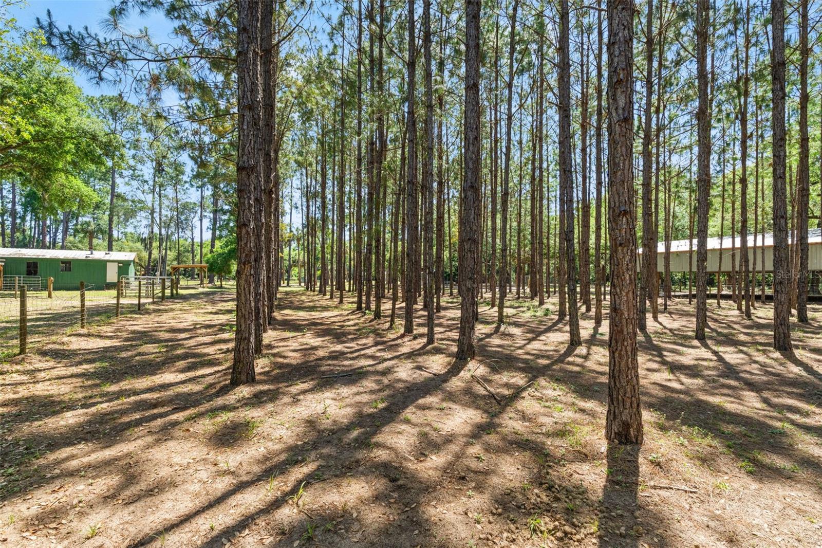 Crystal River, Florida, 34428, United States, 3 Bedrooms Bedrooms, ,3 BathroomsBathrooms,Residential,Active,2045556