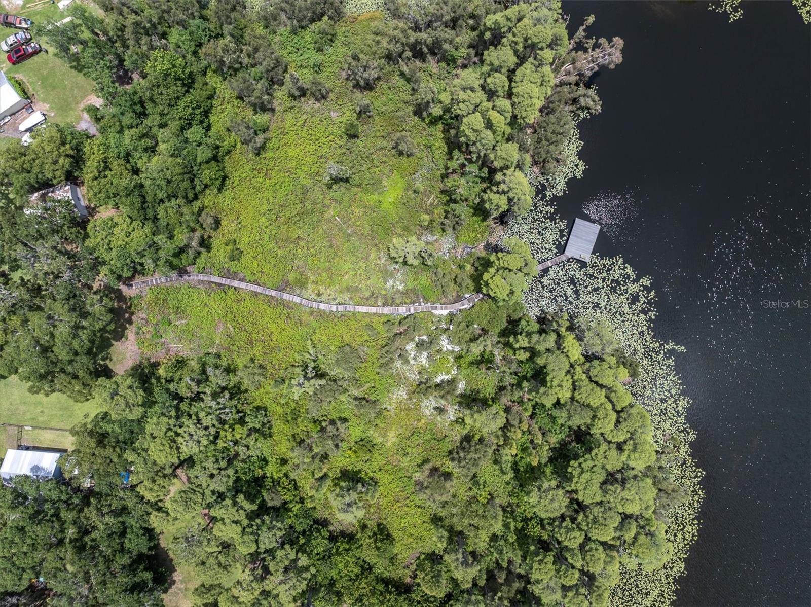 Odessa, Florida, 33556, United States, 4 Bedrooms Bedrooms, ,3 BathroomsBathrooms,Residential,Active,1871641