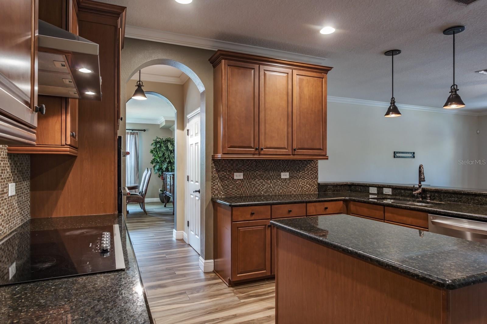 Oldsmar, Florida, 34677, United States, 5 Bedrooms Bedrooms, ,4 BathroomsBathrooms,Residential,Active,1952054