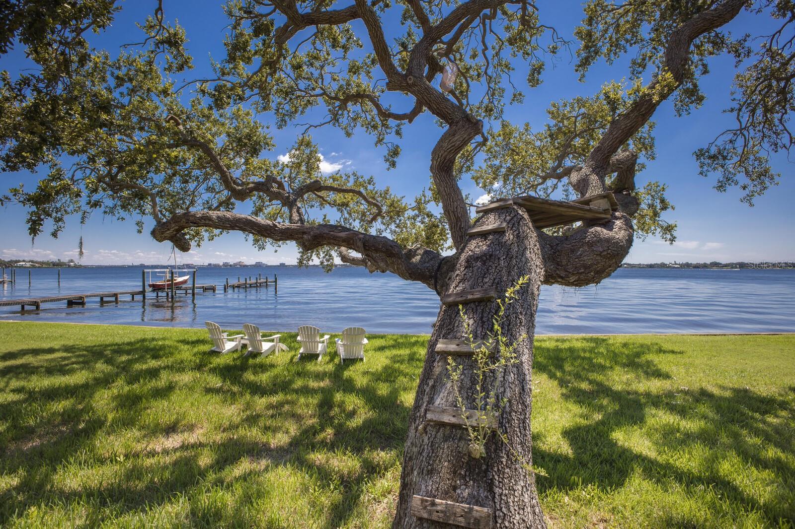 Palmetto, Florida, 34221, United States, 3 Bedrooms Bedrooms, ,4 BathroomsBathrooms,Residential,Active,1952285