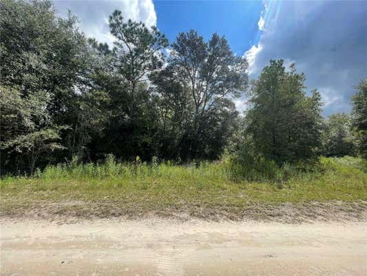 NW 144 CT, OCALA, FL 34481 - Image 1