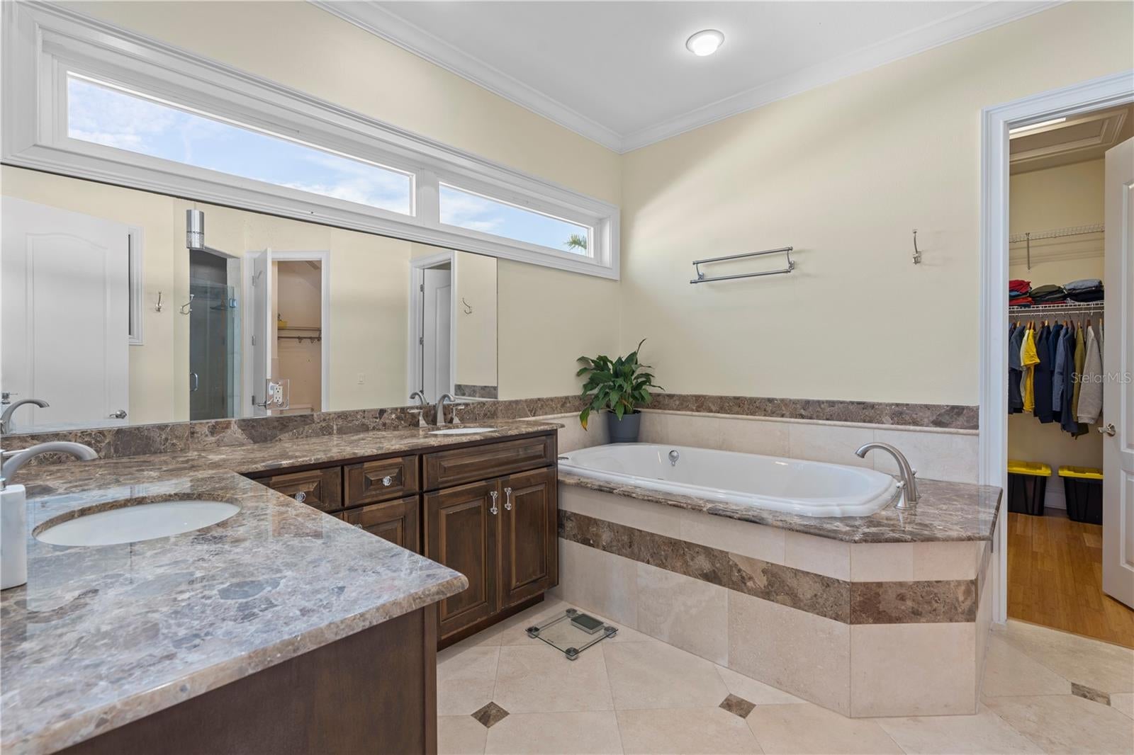 Tampa, Florida, 33634, United States, 5 Bedrooms Bedrooms, ,4 BathroomsBathrooms,Residential,Active,2012814