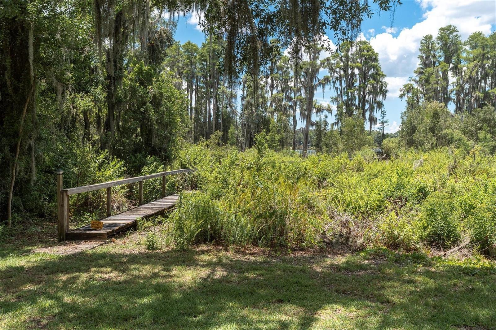 Odessa, Florida, 33556, United States, 4 Bedrooms Bedrooms, ,3 BathroomsBathrooms,Residential,Active,1871641