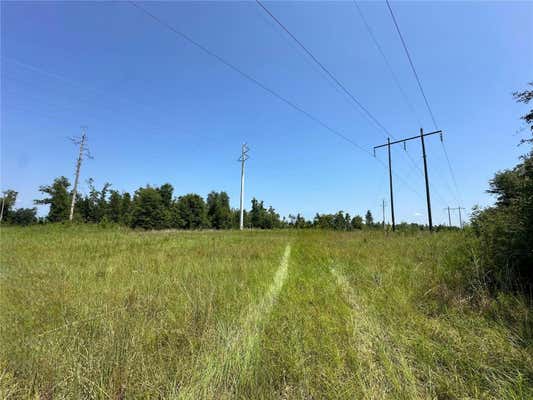 NW BAILEY CEMETARY RD, ALTHA, FL 32421, photo 3 of 18