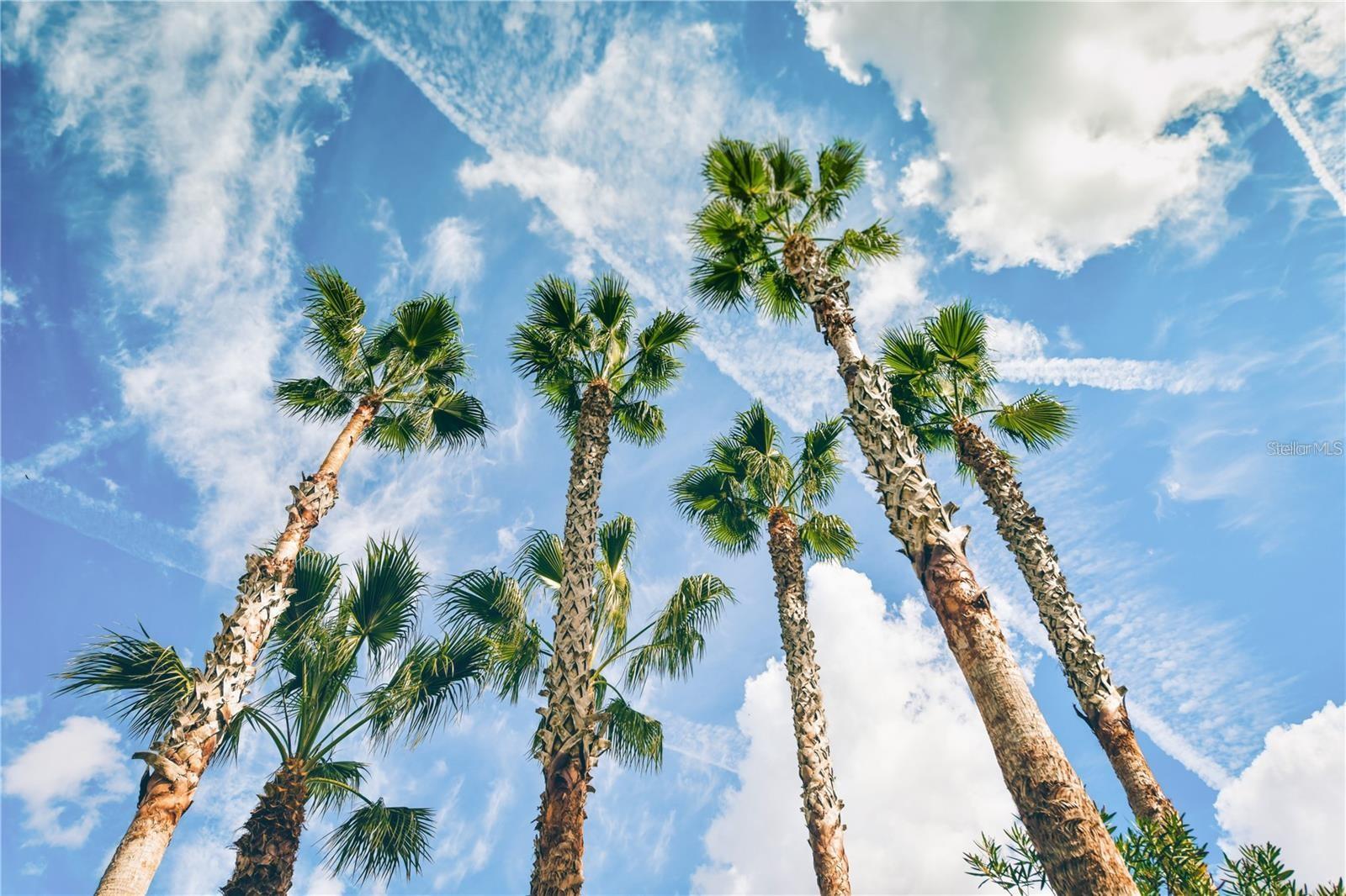 Sarasota, Florida, 34236, United States, 2 Bedrooms Bedrooms, ,2 BathroomsBathrooms,Residential,Active,1702507