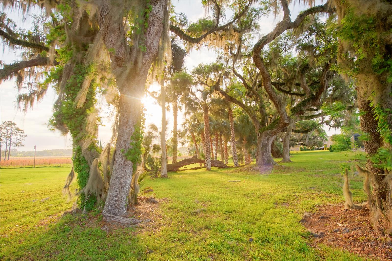 Gainesville, Florida, 32608, United States, 4 Bedrooms Bedrooms, ,3 BathroomsBathrooms,Residential,Active,1989761