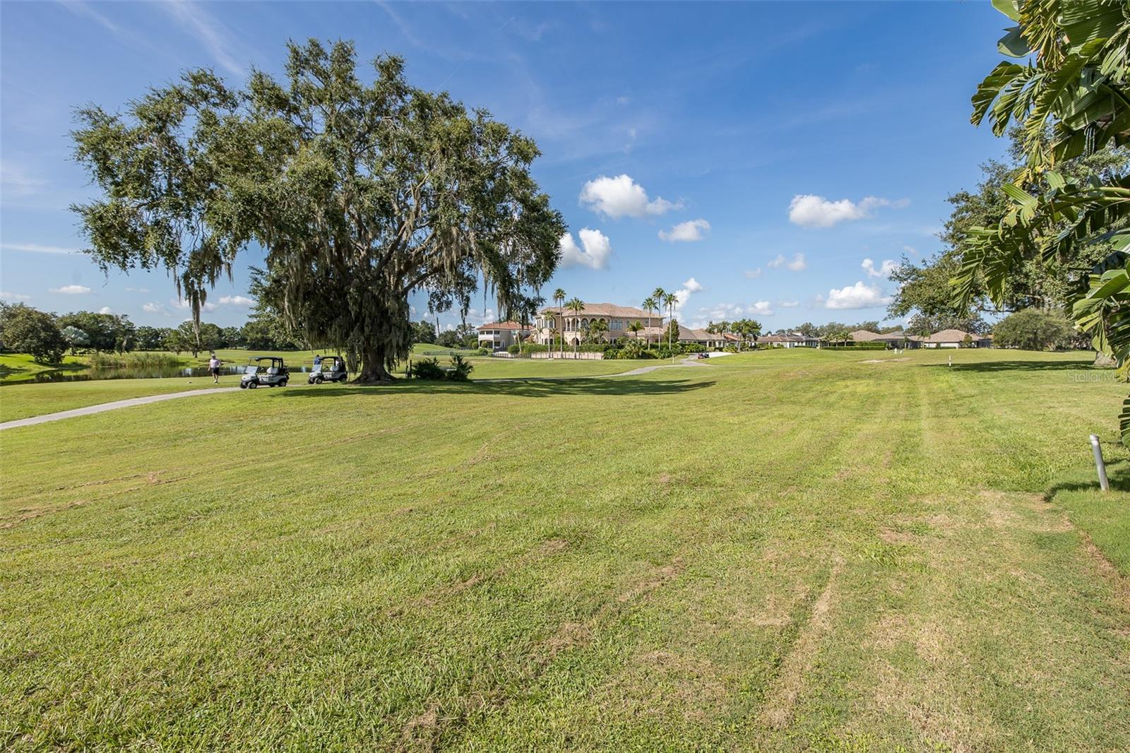Trinity, Florida, 34655, United States, 4 Bedrooms Bedrooms, ,4 BathroomsBathrooms,Residential,Active,1892429