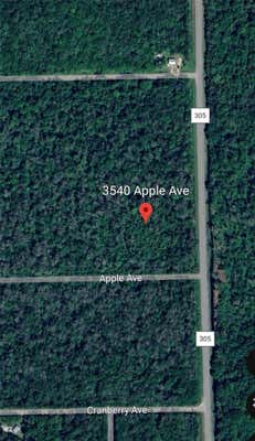 3540 APPLE AVE, BUNNELL, FL 32110 - Image 1