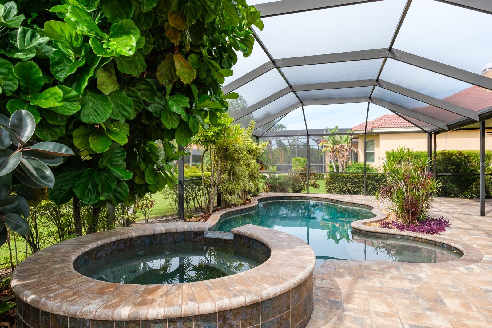 Oldsmar, Florida, 34677, United States, 5 Bedrooms Bedrooms, ,4 BathroomsBathrooms,Residential,Active,1952054