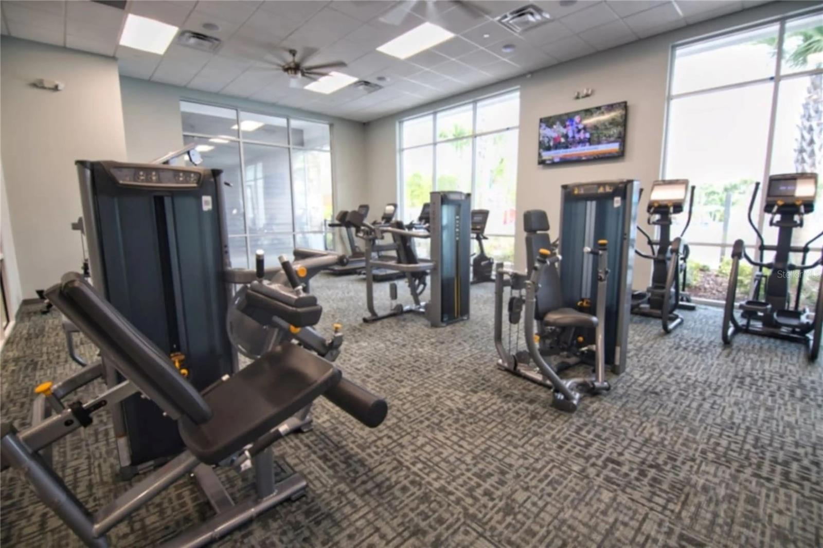 Davenport, Florida, 33897, United States, 10 Bedrooms Bedrooms, ,8 BathroomsBathrooms,Residential,Active,1988466