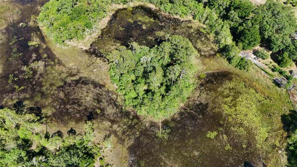 TBD 170TH SE AVENUE ROAD, OCKLAWAHA, FL 32179, photo 2 of 40