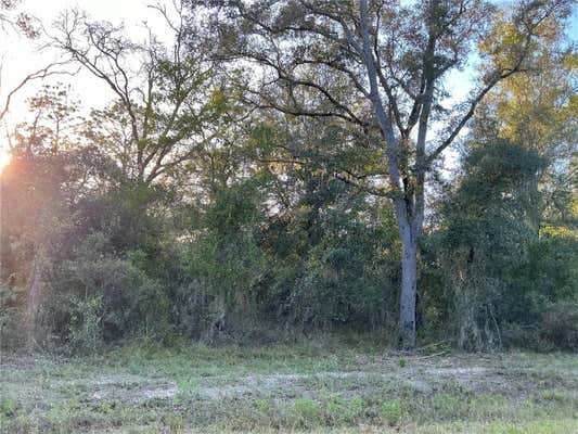 SW WILLOW RD, DUNNELLON, FL 34431 - Image 1