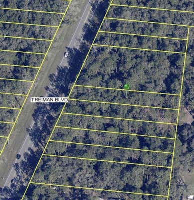 7284 TREIMAN BLVD, WEBSTER, FL 33597 - Image 1