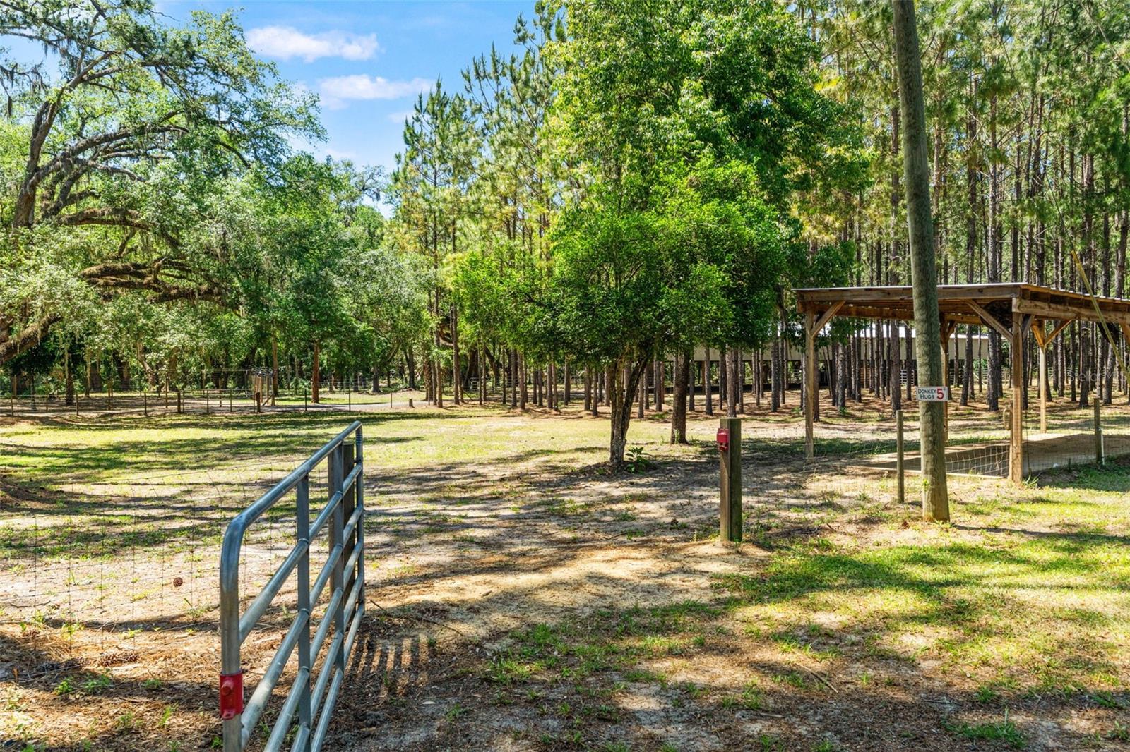 Crystal River, Florida, 34428, United States, 3 Bedrooms Bedrooms, ,3 BathroomsBathrooms,Residential,Active,2045556