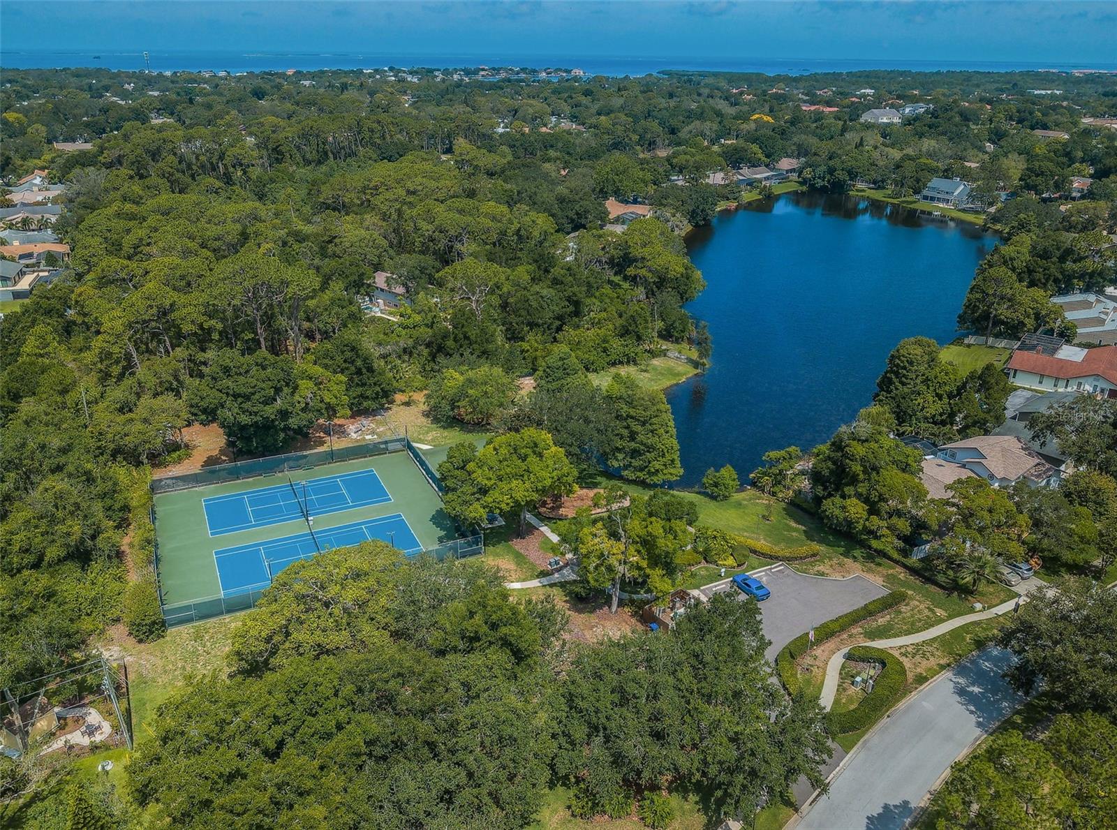 Palm Harbor, Florida, 34683, United States, 4 Bedrooms Bedrooms, ,4 BathroomsBathrooms,Residential,Active,2036020
