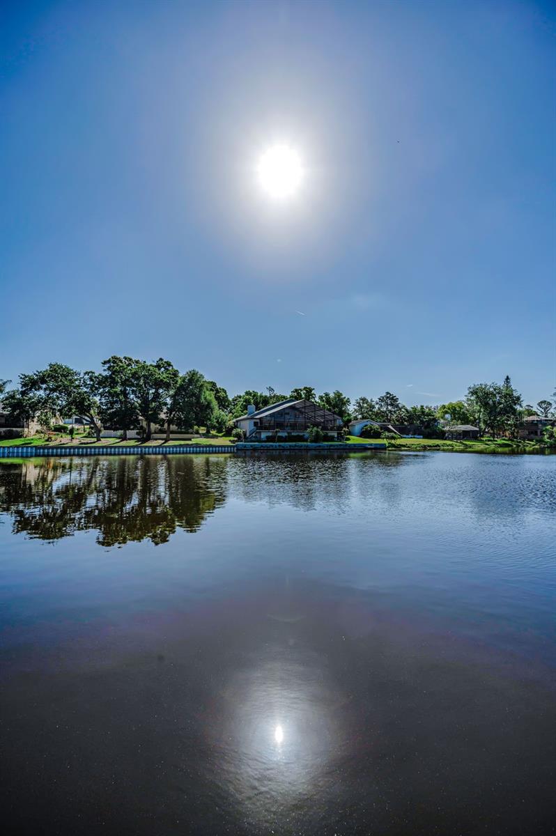 Palm Harbor, Florida, 34683, United States, 4 Bedrooms Bedrooms, ,4 BathroomsBathrooms,Residential,Active,2036020