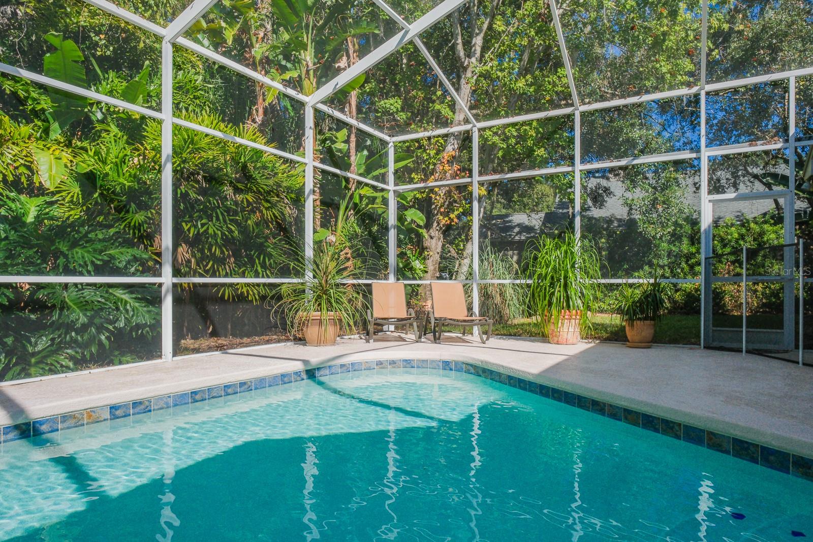 Oldsmar, Florida, 34677, United States, 5 Bedrooms Bedrooms, ,4 BathroomsBathrooms,Residential,Active,2009416