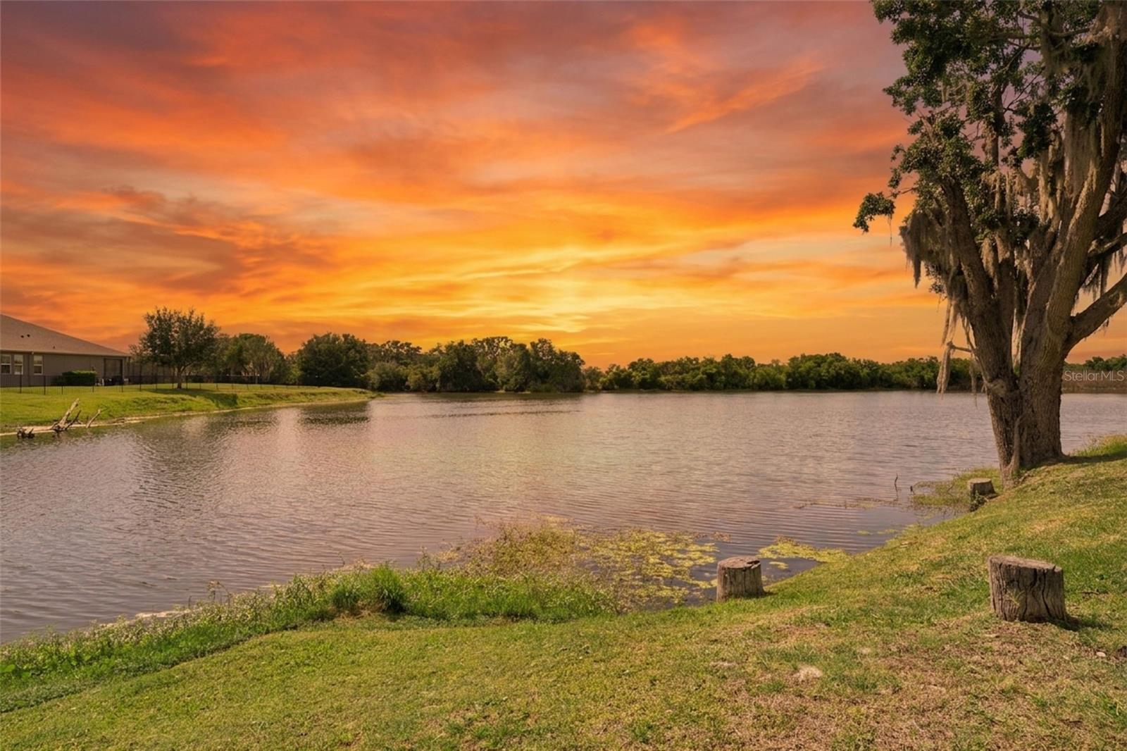 Winter Garden, Florida, 34787, United States, 5 Bedrooms Bedrooms, ,4 BathroomsBathrooms,Residential,Active,2041454