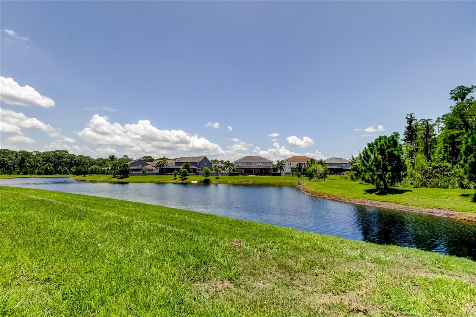 Odessa, Florida, 33556, United States, 4 Bedrooms Bedrooms, ,3 BathroomsBathrooms,Residential,Active,1877812