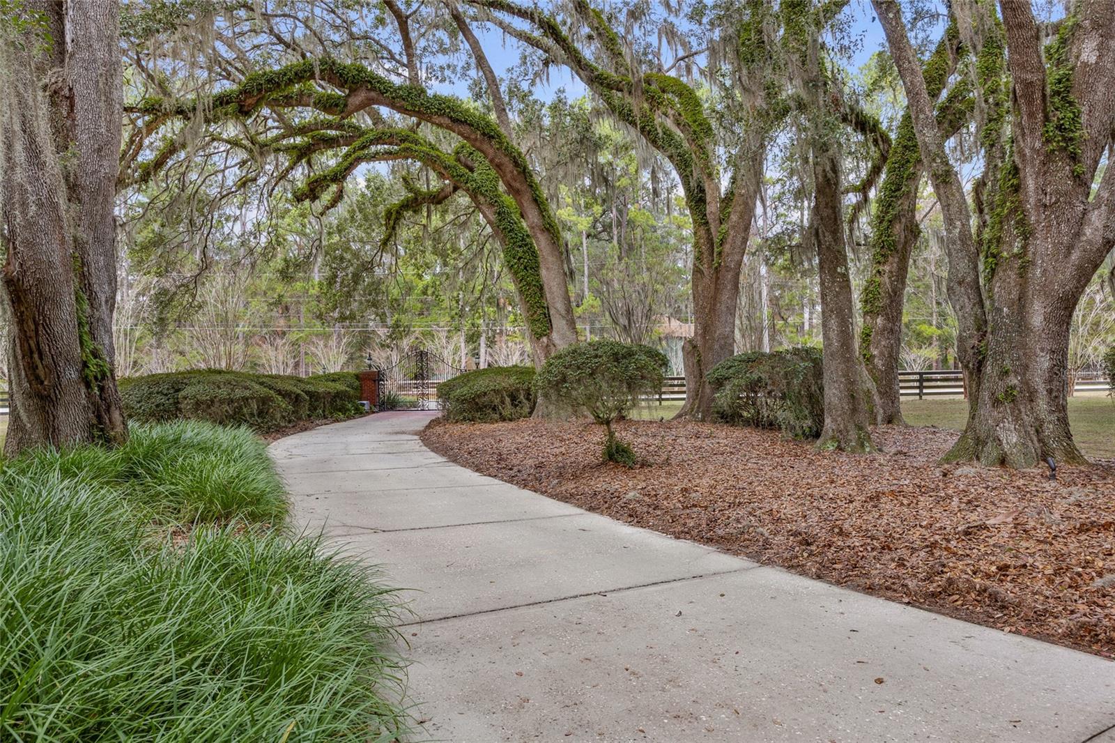 Alachua, Florida, 32615, United States, 5 Bedrooms Bedrooms, ,7 BathroomsBathrooms,Residential,Active,2009170