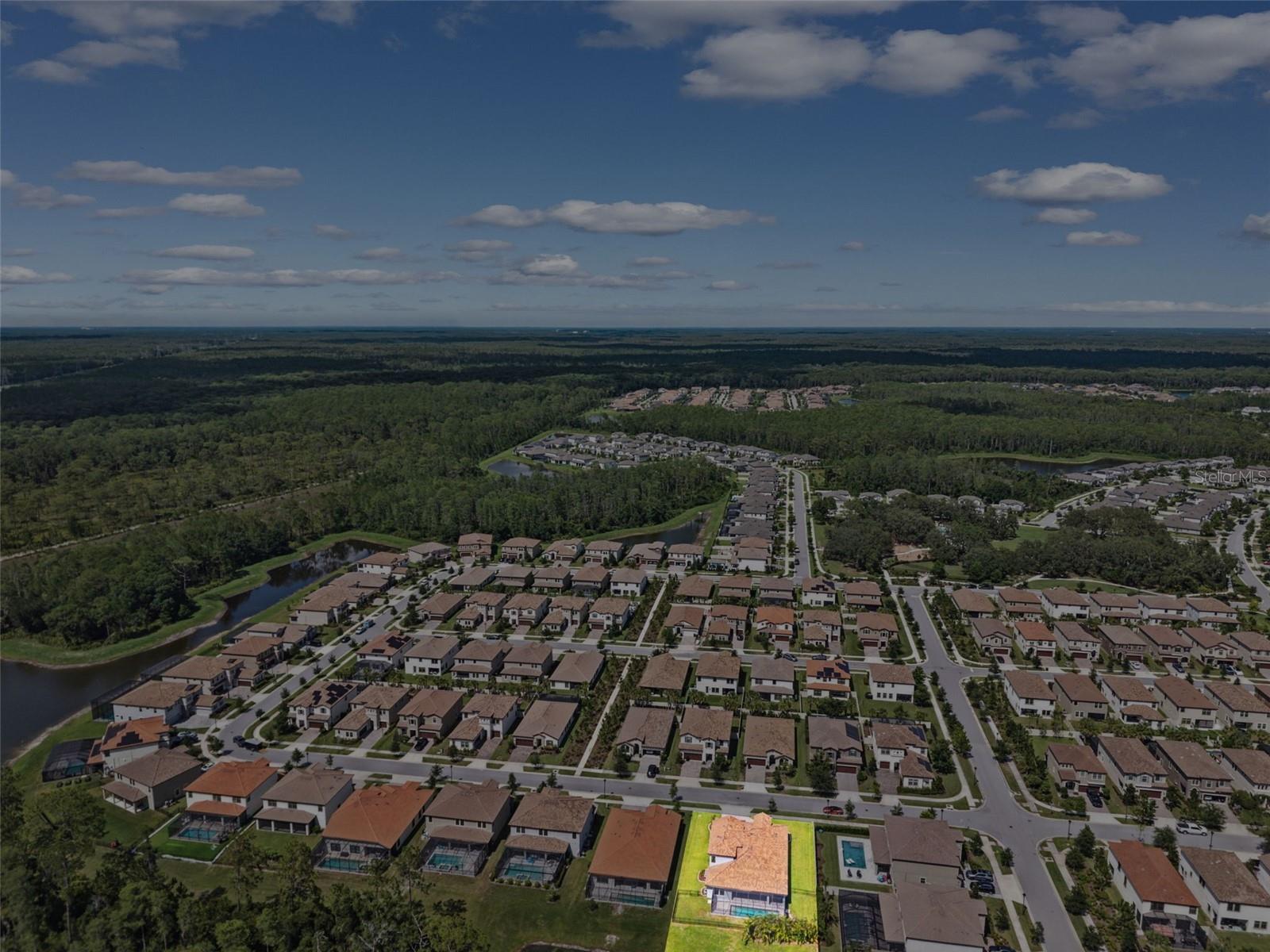 Odessa, Florida, 33556, United States, ,4 BathroomsBathrooms,Residential,Active,1869150