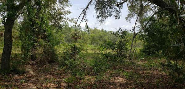 LOT 11 NE ALT HWY 27, WILLISTON, FL 32696, photo 2 of 2