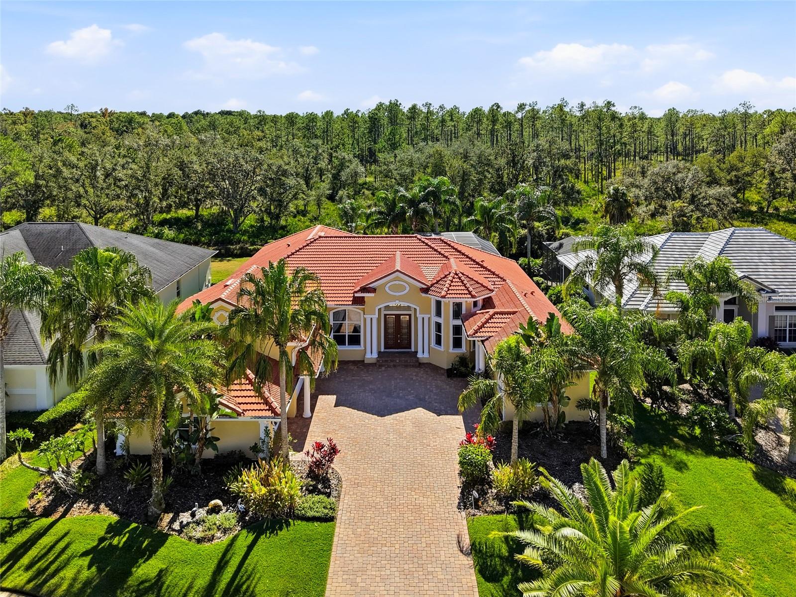 Tampa, Florida, 33647, United States, 5 Bedrooms Bedrooms, ,5 BathroomsBathrooms,Residential,Active,1990671