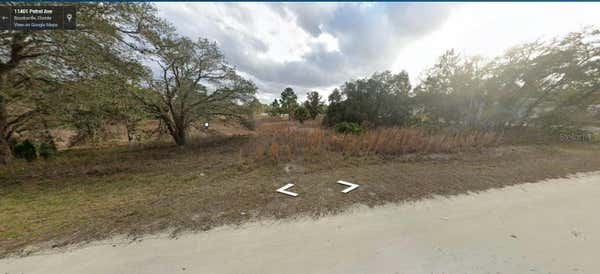 12194 LABRADOR DUCK RD, WEEKI WACHEE, FL 34614 - Image 1