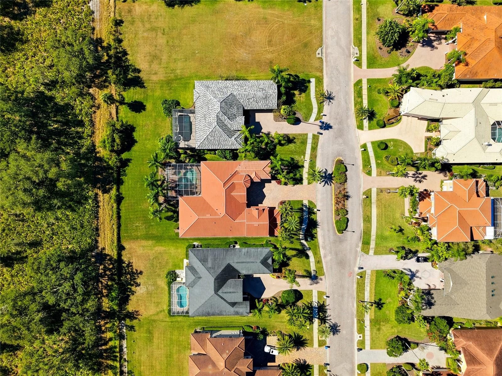 Tampa, Florida, 33647, United States, 5 Bedrooms Bedrooms, ,5 BathroomsBathrooms,Residential,Active,1990671