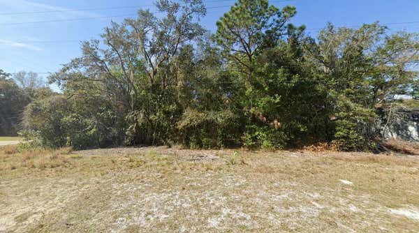 1017 CARNEGIE DR, INVERNESS, FL 34450 - Image 1