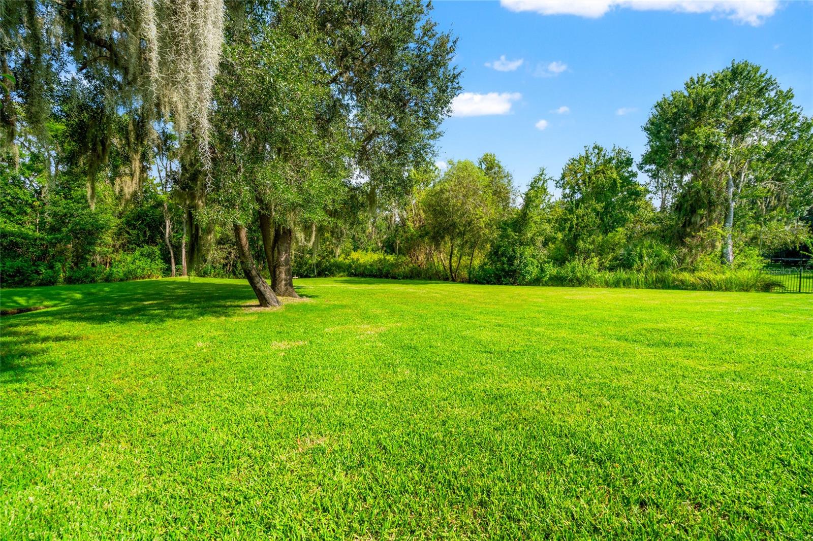 Lutz, Florida, 33549, United States, 7 Bedrooms Bedrooms, ,5 BathroomsBathrooms,Residential,Active,1934823