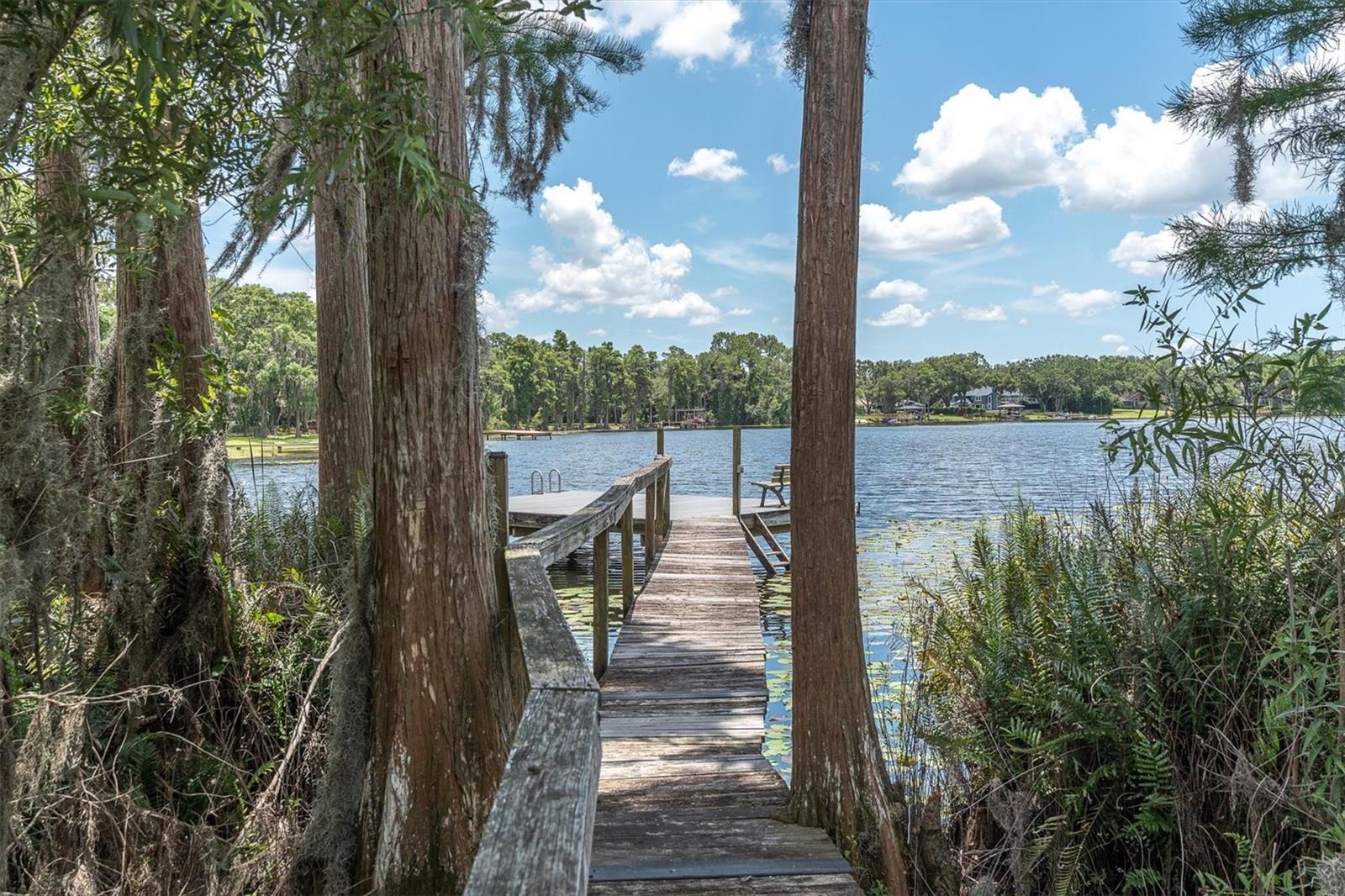 Odessa, Florida, 33556, United States, 4 Bedrooms Bedrooms, ,3 BathroomsBathrooms,Residential,Active,1871641