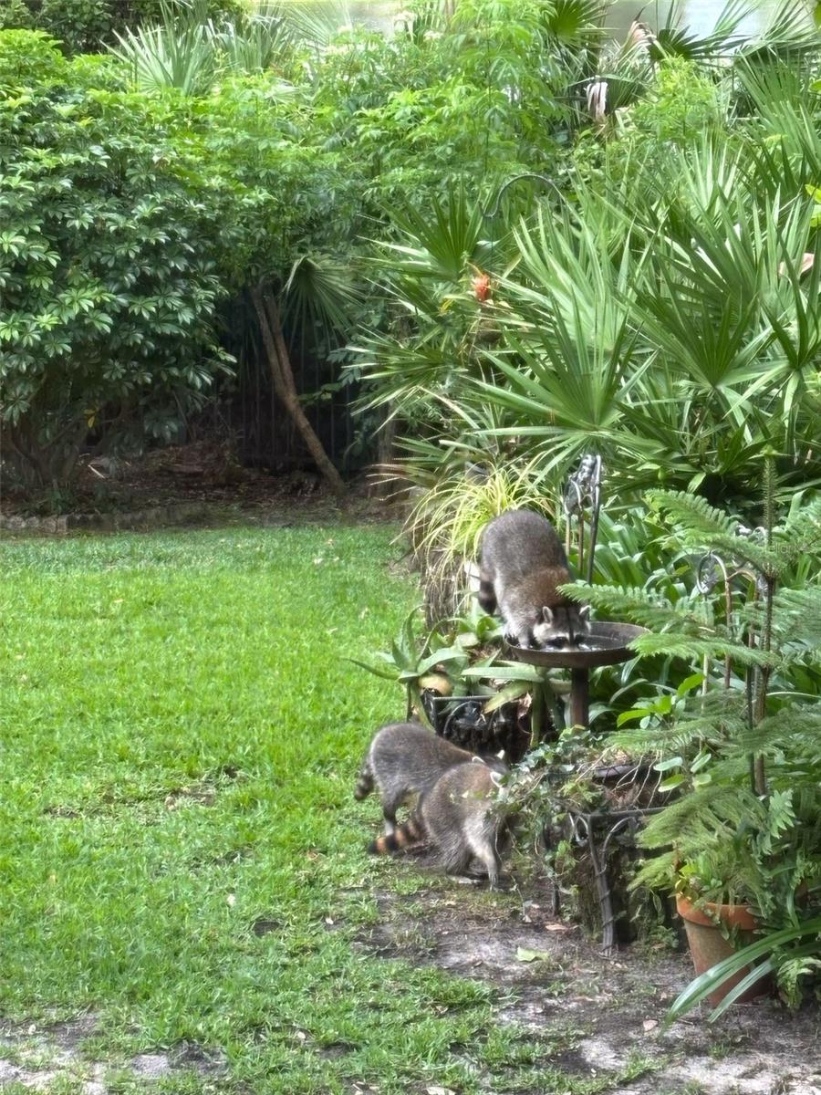 Sanford, Florida, 32771, United States, 5 Bedrooms Bedrooms, ,5 BathroomsBathrooms,Residential,Active,2017886