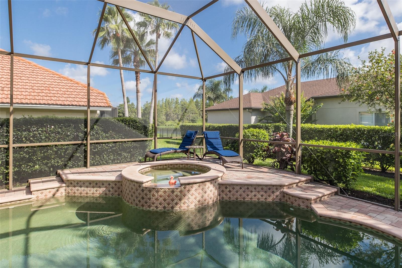 Trinity, Florida, 34655, United States, 5 Bedrooms Bedrooms, ,4 BathroomsBathrooms,Residential,Active,1922329