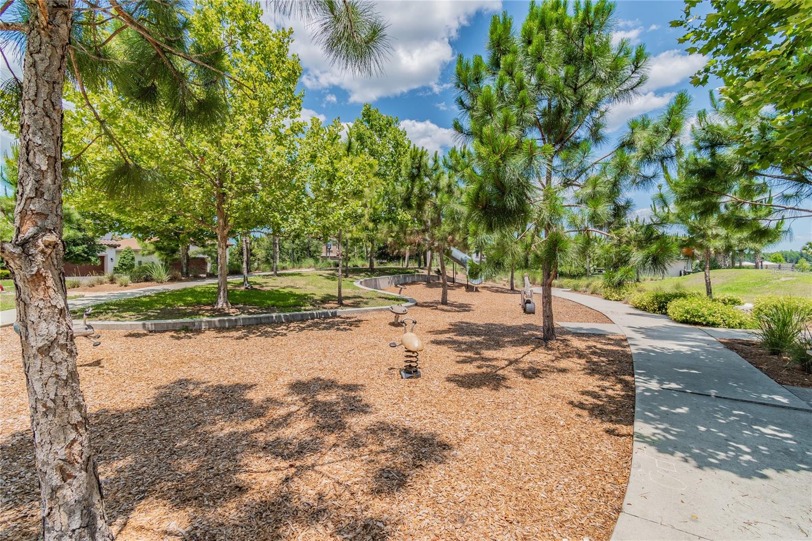 Odessa, Florida, 33556, United States, ,4 BathroomsBathrooms,Residential,Active,1869150