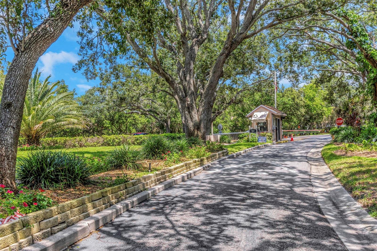 St Petersburg, Florida, 33702, United States, 5 Bedrooms Bedrooms, ,4 BathroomsBathrooms,Residential,Active,1920242