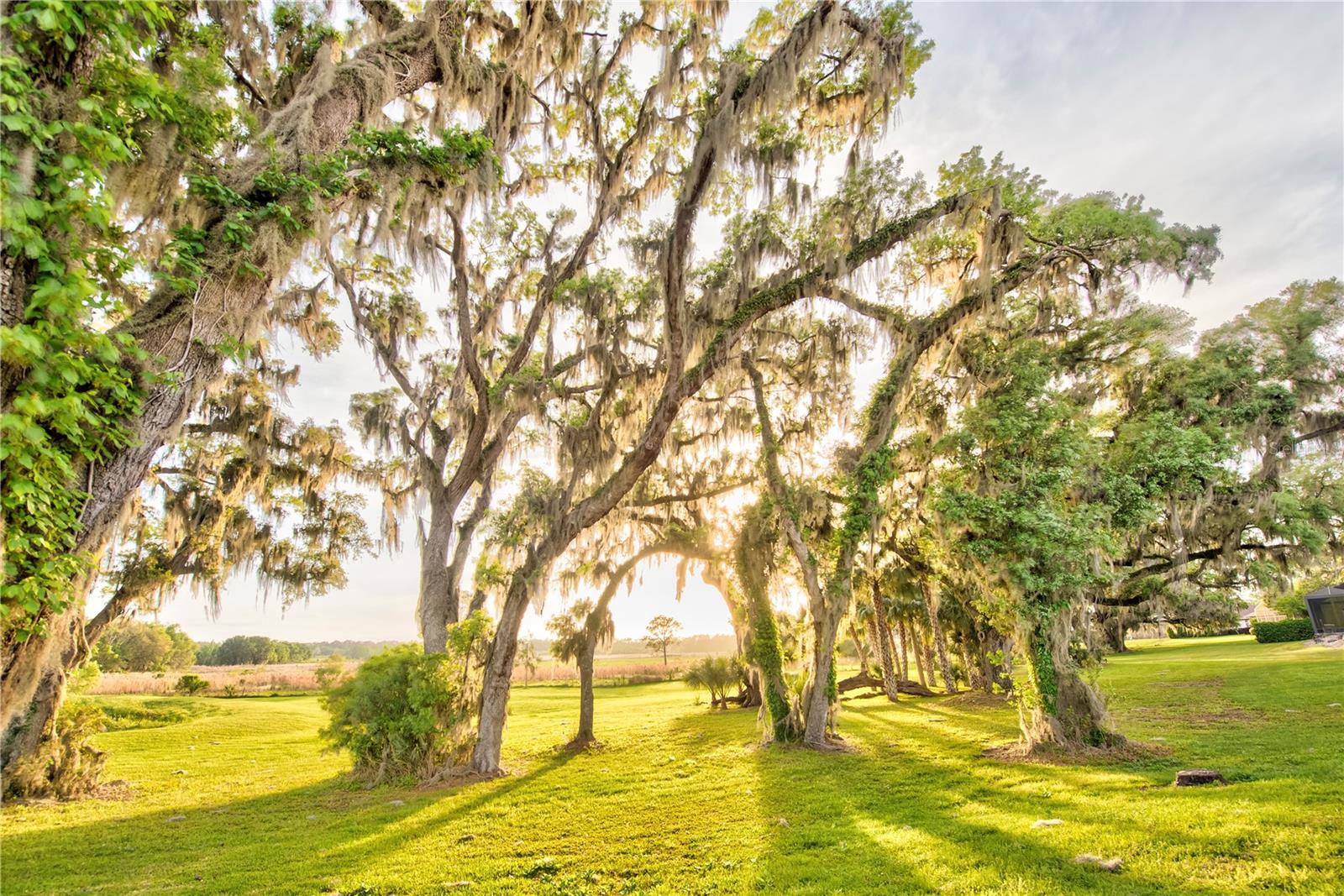 Gainesville, Florida, 32608, United States, 4 Bedrooms Bedrooms, ,3 BathroomsBathrooms,Residential,Active,1989761