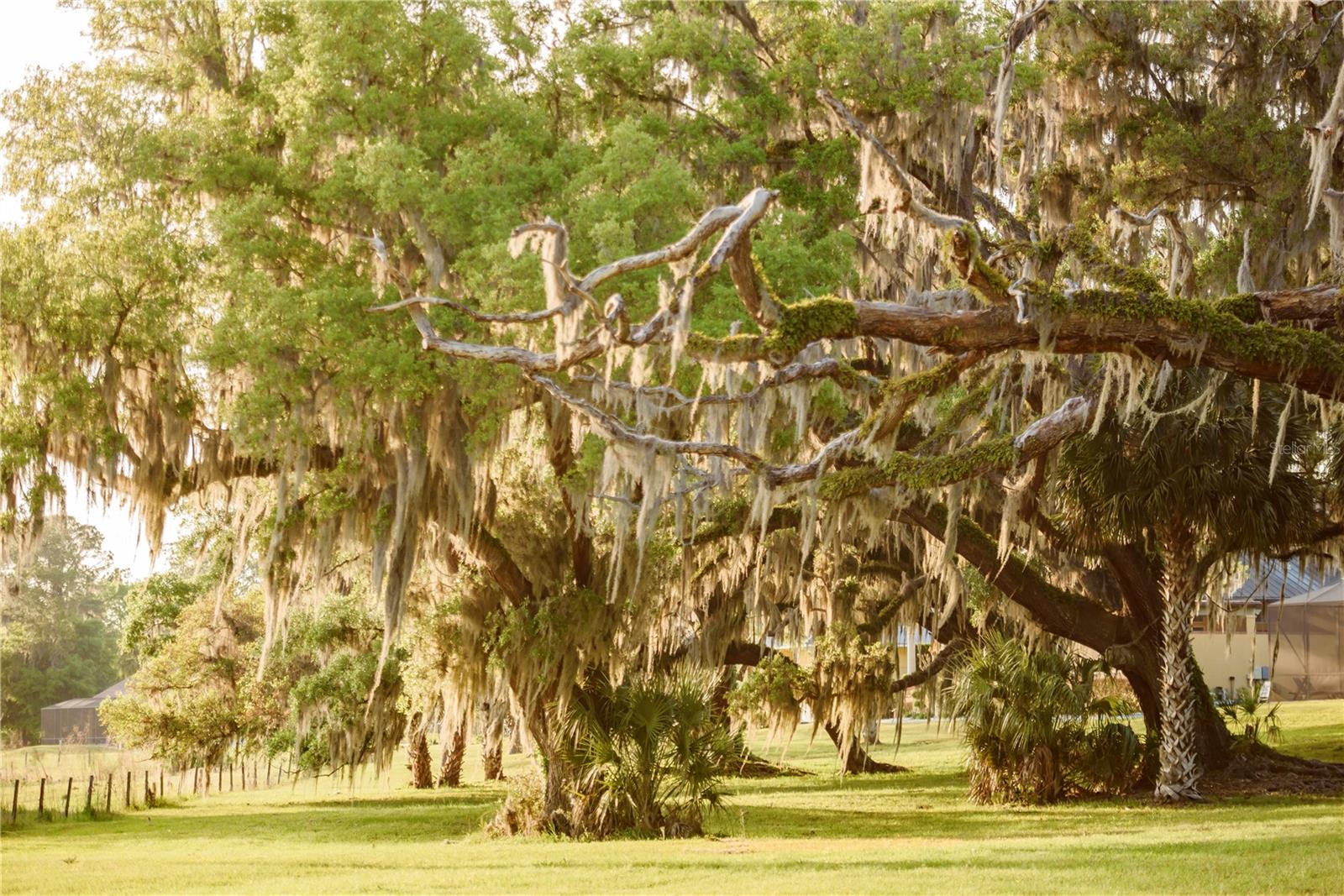 Gainesville, Florida, 32608, United States, 4 Bedrooms Bedrooms, ,3 BathroomsBathrooms,Residential,Active,1989761