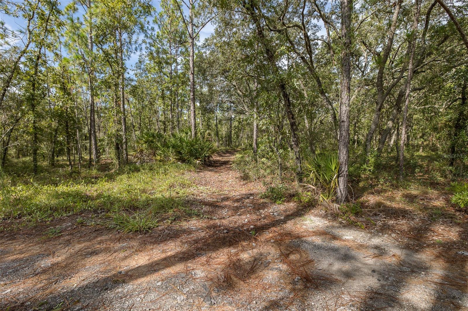Brooksville, Florida, 34614, United States, 3 Bedrooms Bedrooms, ,2 BathroomsBathrooms,Residential,Active,1914602